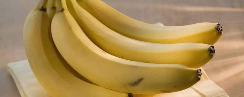 香蕉皮是什么部位（香蕉皮属于哪里）