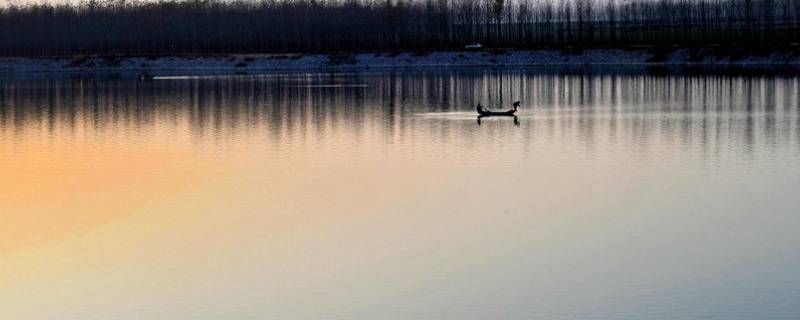 什么情况湖水会倒灌 湖水倒灌对湖的影响