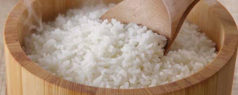 米饭冷冻可以保存多久 做好的米饭冷冻能放多久