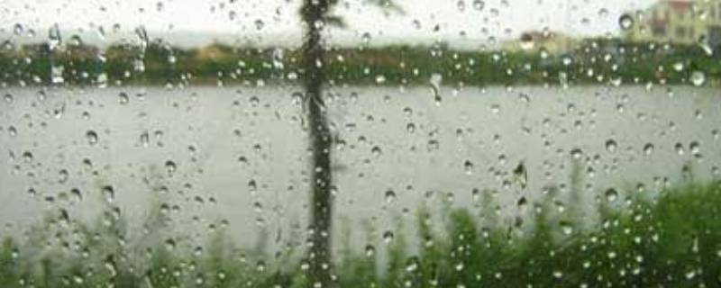 梅雨天气门窗紧闭会发霉吗（下雨天门窗不关家里会受潮么?）