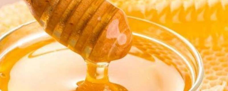 蜂蜜的用途 蜂蜜的用途和功效