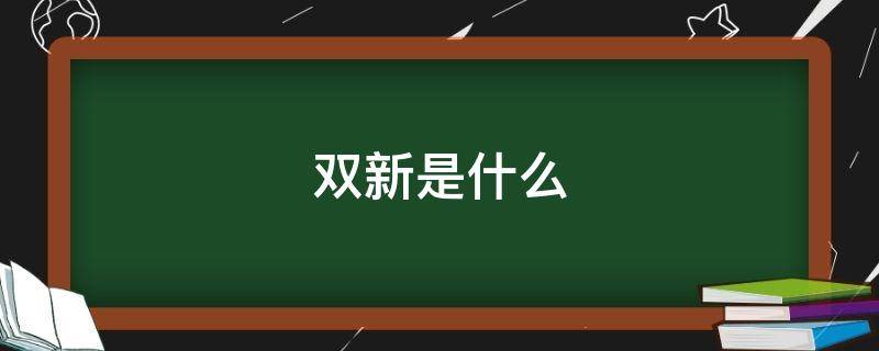 双新是什么（贷款双新是什么）