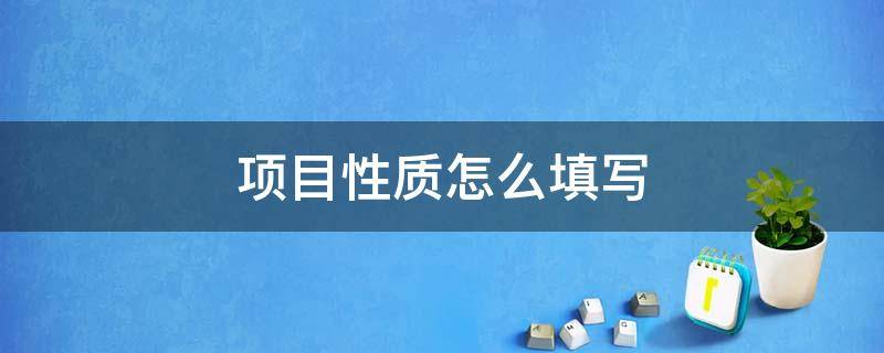 项目性质怎么填写（项目性质怎么填写政府国企社会）