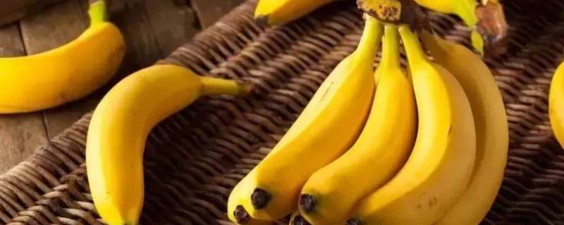 香蕉属于莓类（香蕉属于莓类,草莓不是）