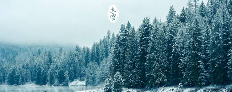 大雪说说（大雪说说大全）