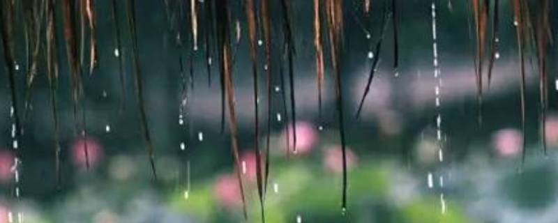 梅雨季节在哪些省（梅雨季哪个地区）