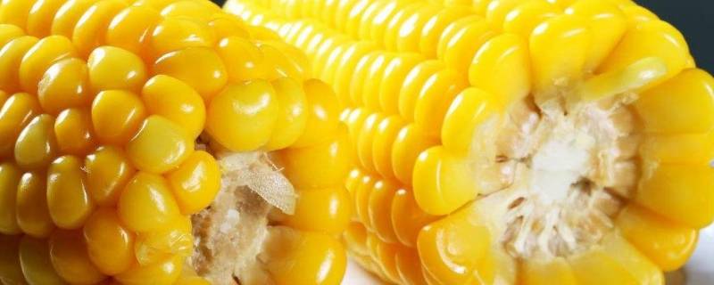 玉米没坏但是有酸味（玉米有酸味是坏了么）