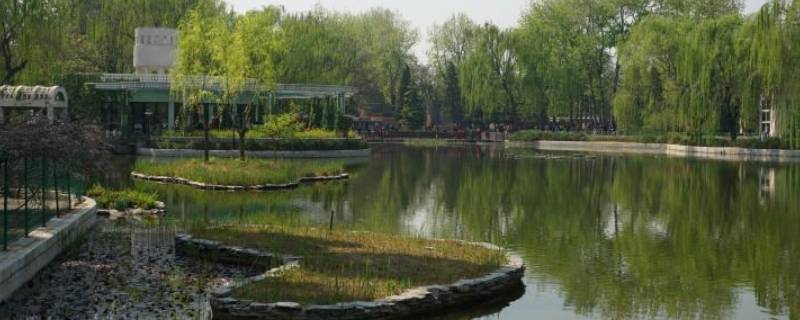 人定湖公园在北京什么地方（北京人定湖公园乘车路线）