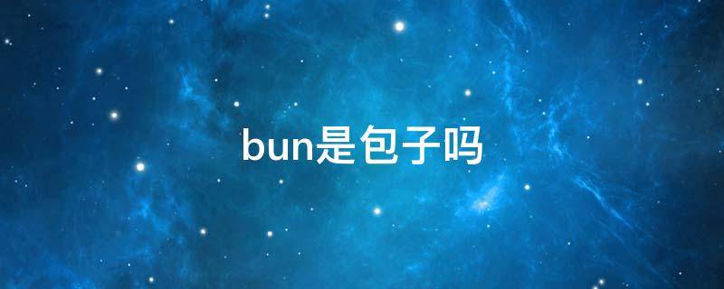 bun是包子吗（包子 英文为什么叫bun）