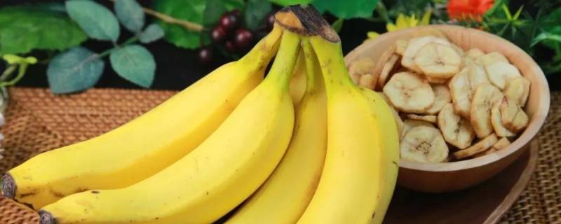 香蕉的特点 苹果香蕉的特点
