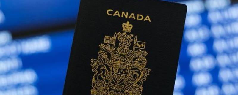 加拿大签证照片尺寸要求 加拿大签证照片尺寸要求几张