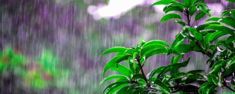 梅雨季节家里潮湿开窗还是关窗 梅雨季节家里潮湿开窗还是关窗好