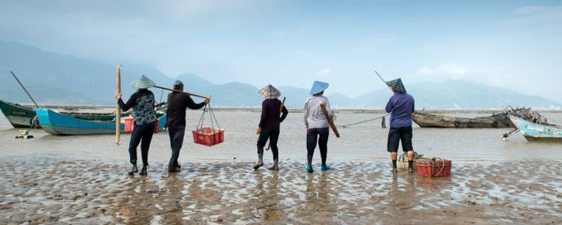 中潮和小潮不适合赶海吗（大潮中潮小潮哪个适合赶海）