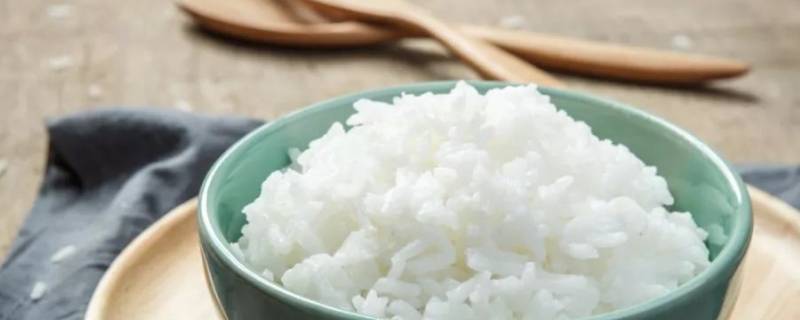 米饭成分（一碗米饭成分）