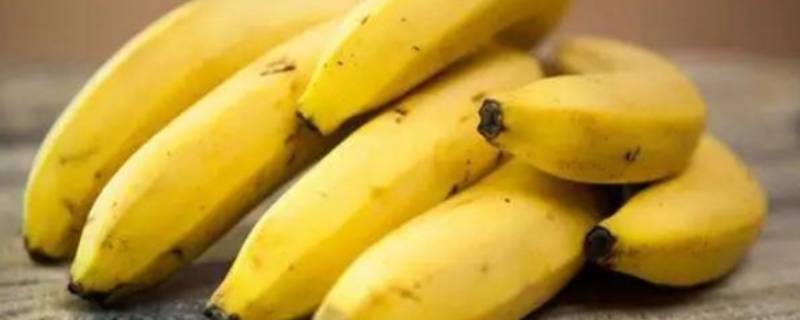 香蕉属性 香蕉属性是温还是寒