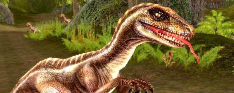 velociraptor是什么恐龙