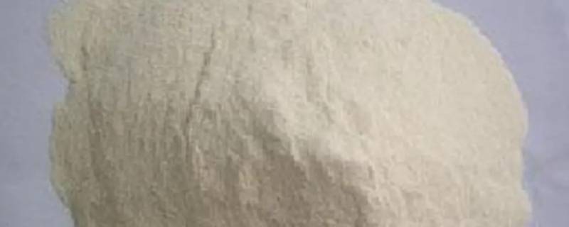 谷朊粉的作用和用途 谷朊粉的作用