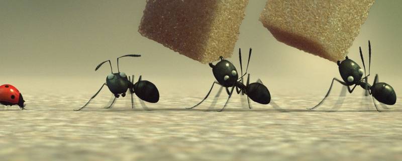 蚊香能杀死蚂蚁吗（电蚊香能杀死蚂蚁吗）