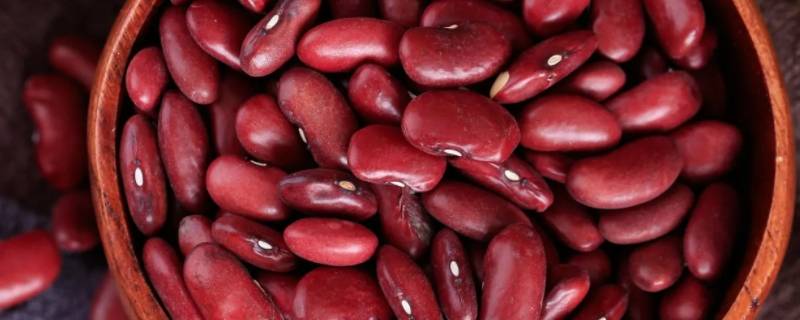 红腰豆和红芸豆怎么区分 红腰豆就是红芸豆吗