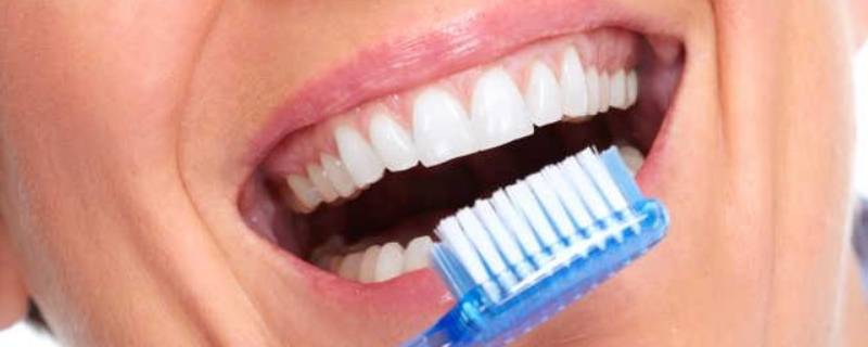 牙齿的用处和怎么保护 牙齿的用处,怎么保护牙齿