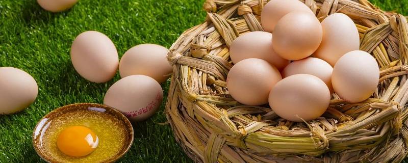怎么保护鸡蛋 怎么保护鸡蛋不碎