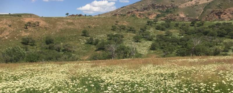 额敏县景点（额敏县旅游攻略）