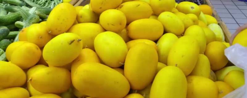 黄色的水果有哪些东西（黄色的水果有哪些图片）