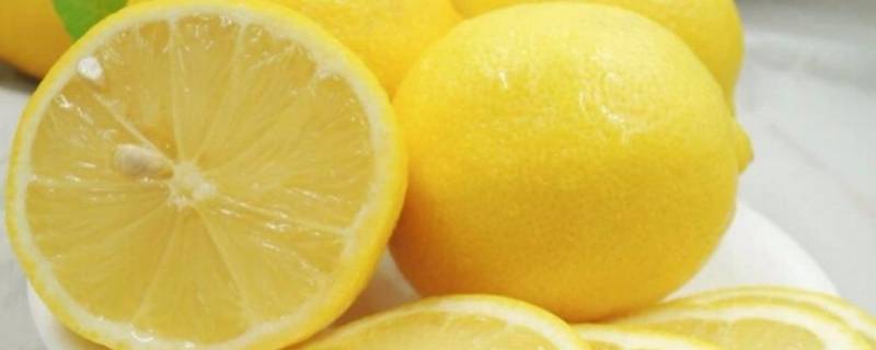 柠檬片和鲜柠檬的区别 干柠檬片与鲜柠檬片的区别