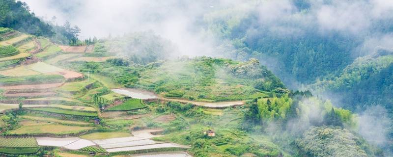 遂昌县景点（遂昌县旅游景点）