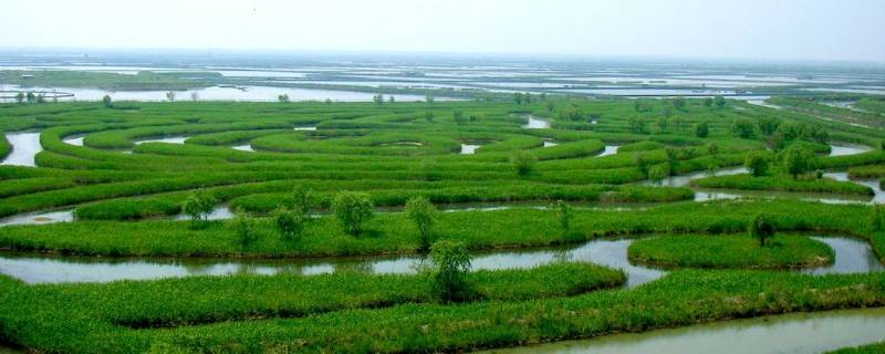 盐都区景点（盐湖区景点）