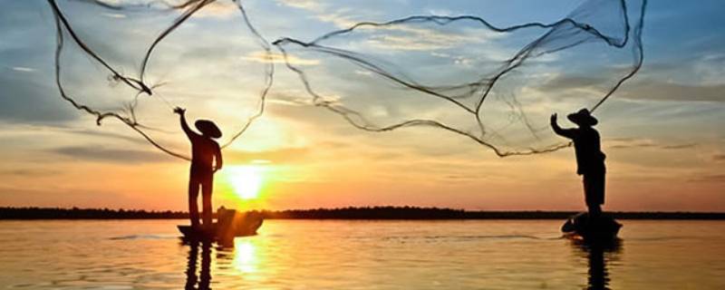 渔网是什么原理捕鱼 渔网的原理是什么