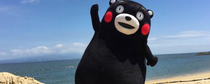 日本熊玩偶叫什么 日本的玩具熊叫什么