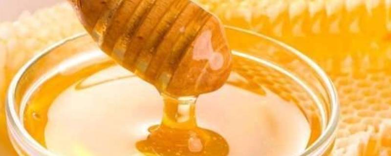 纯正蜂蜜怎么辨别 纯正蜂蜜怎样辨别