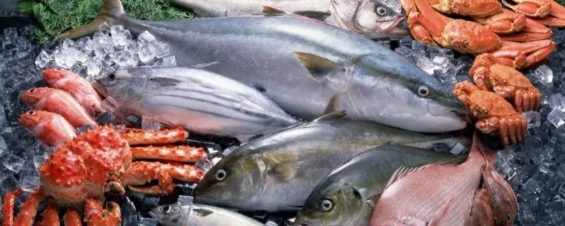 什么是海鲜 什么是海鲜市场