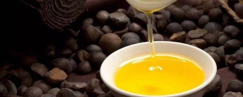茶籽油怎么食用（茶籽油怎么食用方法）