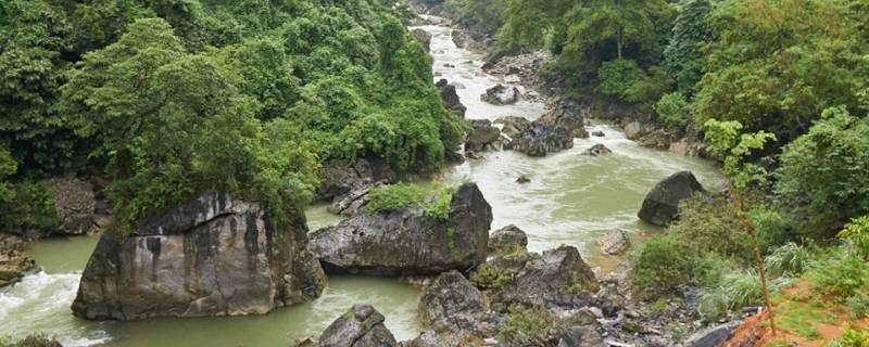 那坡县景点 那坡县景点感驮岩