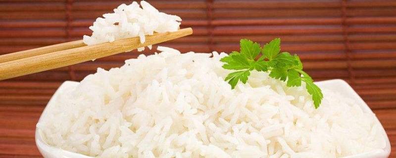 蒸米饭的比例是多少 电饭煲蒸米饭的比例是多少