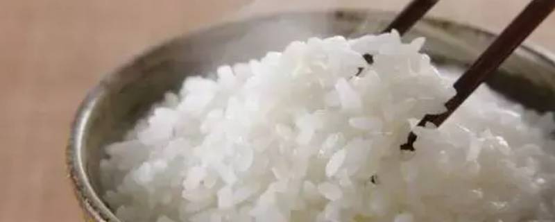 米饭要蒸多久 隔水蒸米饭要蒸多久