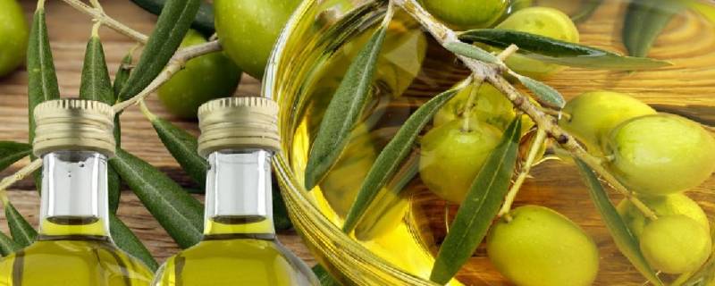 橄榄油怎么选 食用橄榄油怎么选