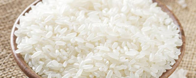 软米是什么米（软米是什么米图片）