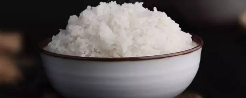 夏天米饭常温可以放多久（米饭在夏天能放多久）