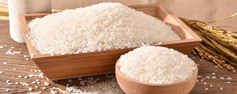 大米营养 大米营养成分含量表