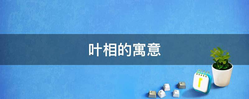 叶相的寓意（叶象征着什么）