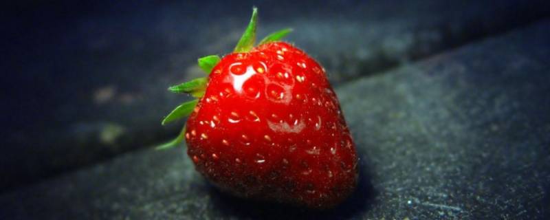草莓的生长习性 草莓生长介绍