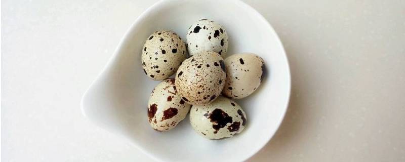 生鹌鹑蛋能放多久 生鹌鹑蛋能放多久冰箱
