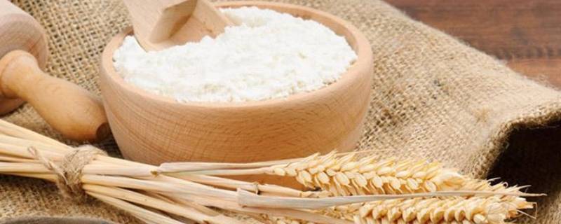 家用小麦粉是低筋还是高筋 小麦粉是高筋好还是低筋好