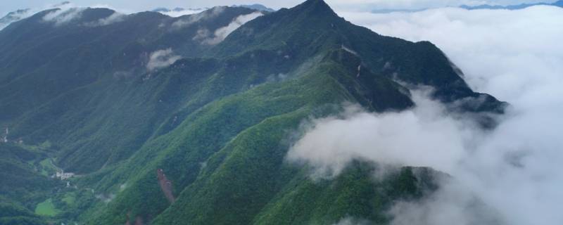 镇坪县景点 镇坪周边景点