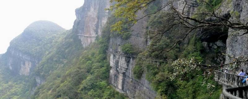 南川区景点 南川区旅游景点