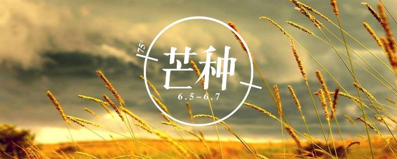 芒种又被称为什么（芒种又被称为什么你知道为什么吗）