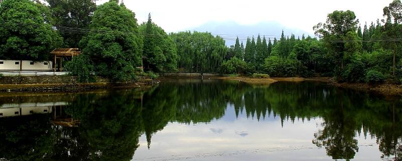 绵竹市景点（绵竹市景点年画村）